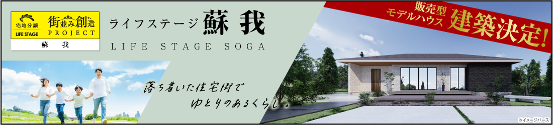 ライフステージ蘇我