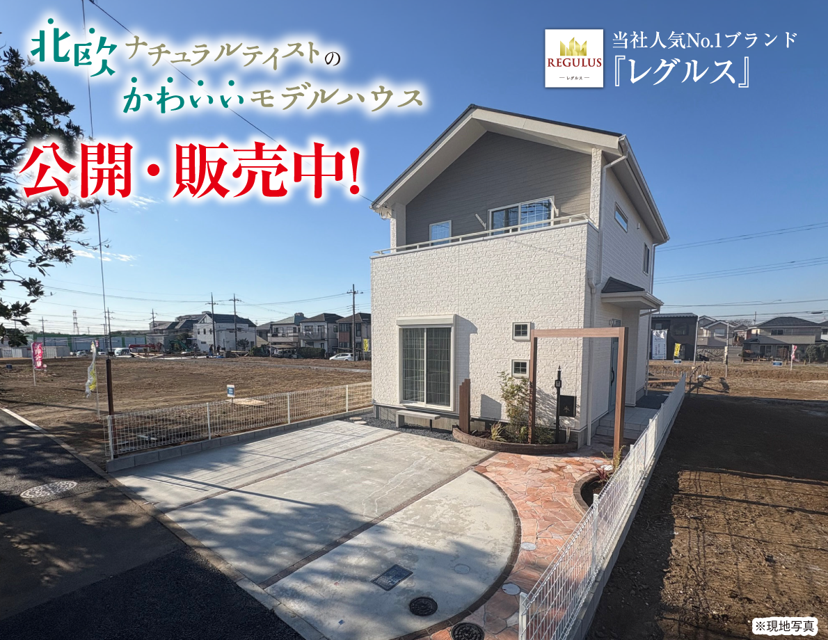 レグルスB-17 外観