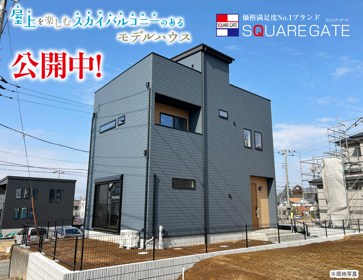 スクエアゲートD-1 外観